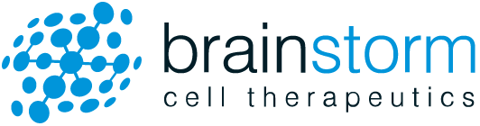 Brainstorm Logo